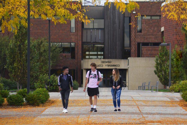 Students walking together outside